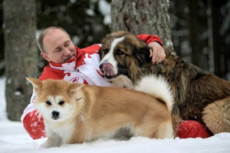 Путин подписал закон о правилах обращении с животными