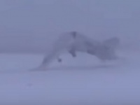 Видео катастрофы стратегического бомбардировщика Ту-22М3 в Оленегорске