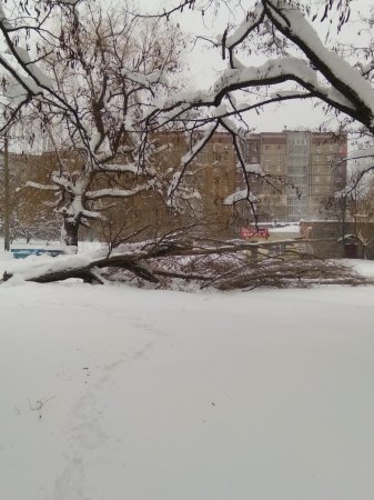 Снежный ад: Донбасс заметает, дороги перекрыты, бронетехника брошена на борьбу со снегом (ФОТО, ВИДЕО)