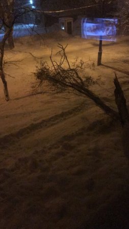 Снежный ад: Донбасс заметает, дороги перекрыты, бронетехника брошена на борьбу со снегом (ФОТО, ВИДЕО)