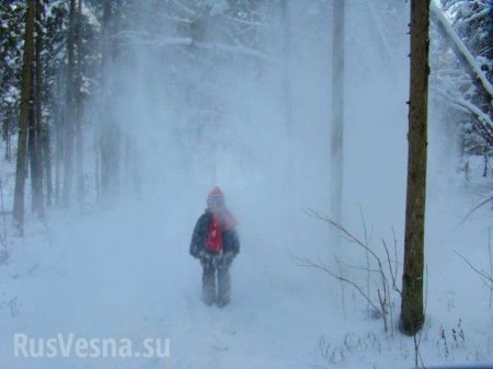 Дикая Украина: Девушка, которую выкинули из автобуса, замёрзла насмерть в лесу на Житомирщине (ФОТО)