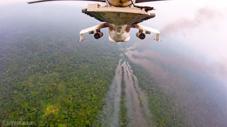ВСУ воюют в Африке: операция «Скорпион» (ФОТО, ВИДЕО)