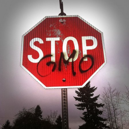 Нацбезопасность: в России мораторий на ГМО не отменят