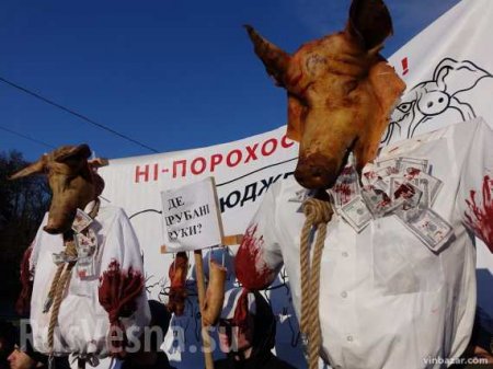 «Нацкорпус» принёс Порошенко свиные головы и подрался с полицией (ФОТО, ВИДЕО)