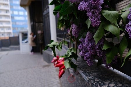 В Одессе люди приходят к генконсульству РФ с цветами и соболезнованиями о пожаре в Шереметьево