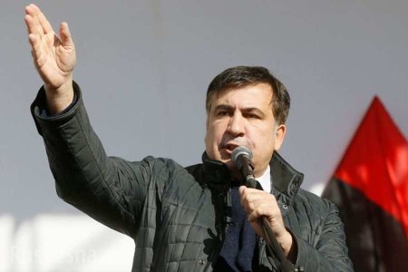 У стен Рады «появился» Саакашвили с чемоданом (ФОТО)