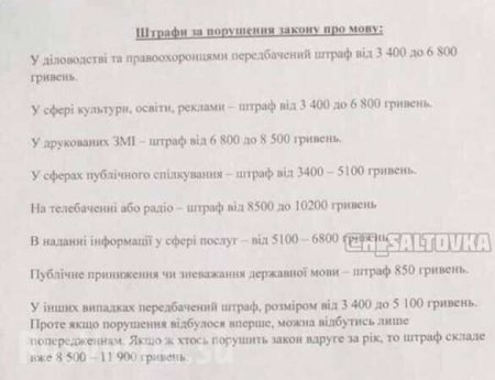 Учителям на Руине вручили памятки о штрафах за русский язык на работе