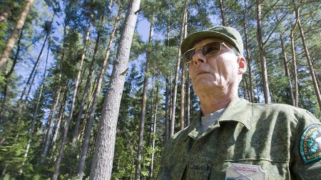 Настоящие причины пожаров: почему российские леса остались без защиты (ФОТО)
