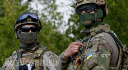 Боевики «Айдара» готовили удар по объектам Донбасса: сводка о военной ситуации (+ВИДЕО)