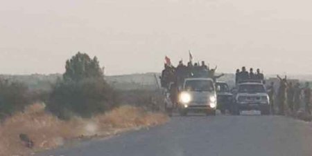 Курды договорились с Дамаском: сирийская армия берет под контроль северные районы Сирии