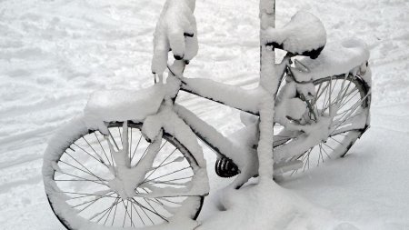 Снегопад парализовал Тегеран