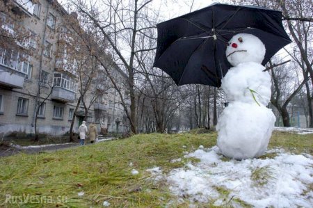 Выше нормы на 20 градусов: европейская «жара» дошла до Сибири