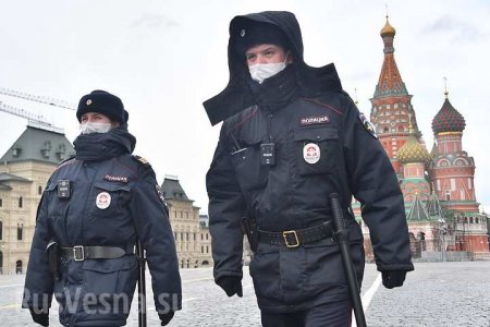 В Москве аннулировали почти миллион выданных пропусков — названа причина