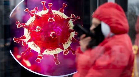 799 умерших за сутки: коронавирус в России