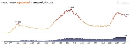 Более 800 умерших пятый день подряд: коронавирус в России