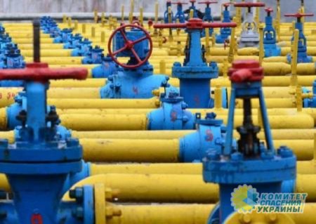 В ФРГ назначили уполномоченного по вопросам транзита газа через Украину