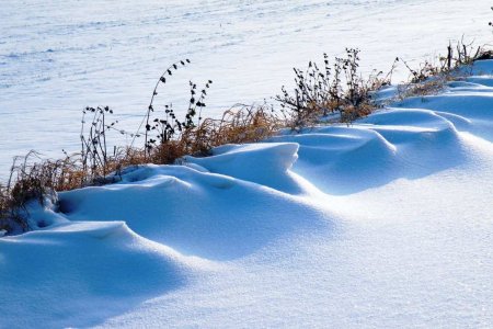 Это чудо: в самой сухой пустыне мира выпал снег (ФОТО, ВИДЕО)
