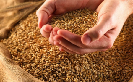 Россия проделала огромный путь и стала крупнейшим экспортёром зерна, — Financial Times