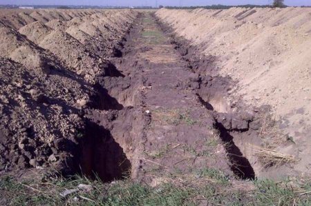 Украинское средневековье: на Сумщине чиновница подсыпала коллегам землю с кладбища (ВИДЕО)