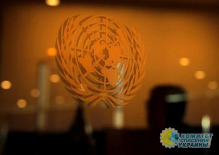 Украина «дала совет» ООН