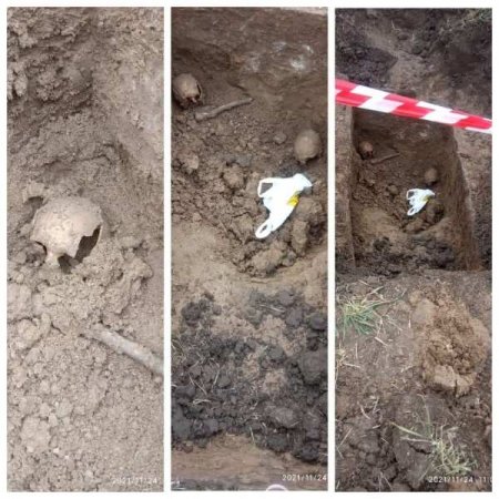 На Украине нашли древнее захоронение людей из культуры шаровидных амфор (ФОТО)