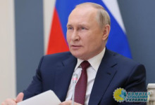 Путин: «воровство чужих активов» до добра не доводит