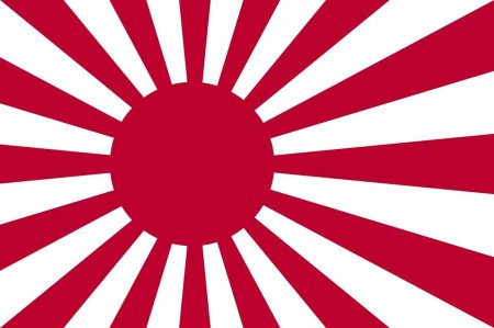 Япония анализирует спецоперацию: «Нет резервов для нападения на Хоккайдо»