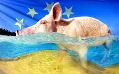 Зеленский определил «внутренний дедлайн» по вступлению Украины в ЕС