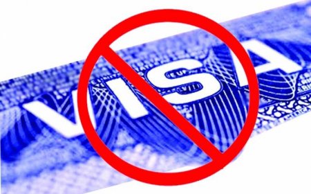 Чехия предлагает запретить шенгенские визы для россиян