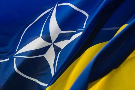 Еврокомиссар объяснил, почему Украина не может вступить в НАТО