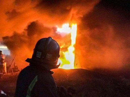 В МЧС назвали причину пожара в Ленинградской области