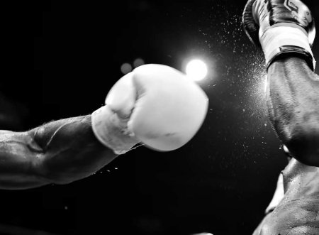 Российские боксёры восстановлены в рейтинге WBA