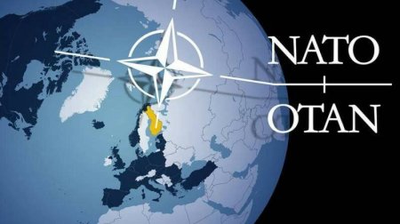 Шведы выступили против изменения законов ради членства в НАТО