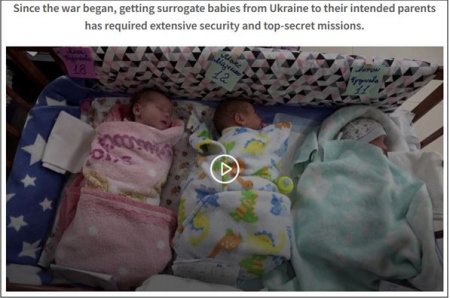 Торговля людьми на Украине выходит из тени: куда подевались суррогатные матери и украинские младенцы?