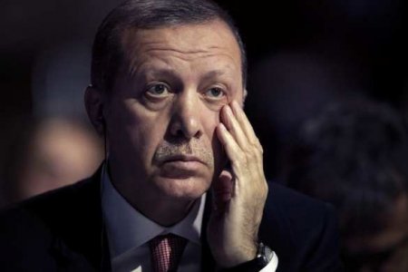 «По Корану в неделю»: шведский радикал поставил ультиматум Эрдогану