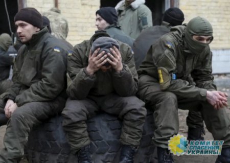 Стало известно, сколько солдат считаются на Украине пропавшими без вести
