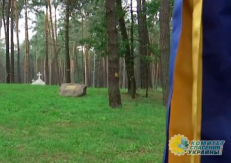 В Киеве создадут огромное кладбище для боевиков ВСУ