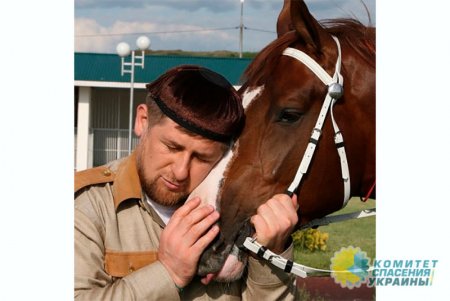 Кадыров «поблагодарил» украинские спецслужбы