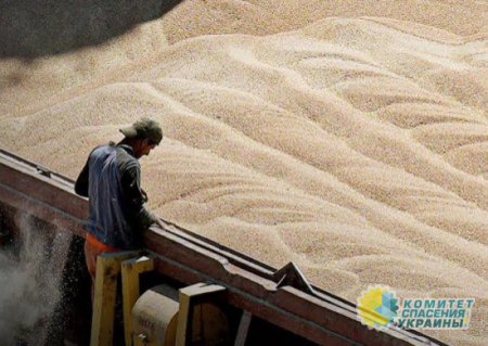 Россия продлила невыполняющуюся Западом зерновую сделку