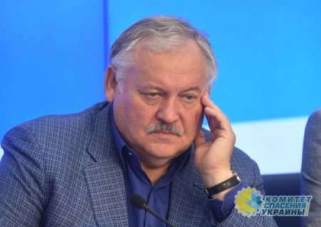 Затулин призвал взять под контроль причерноморские области Украины