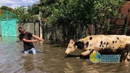 Выросло число пострадавших от наводнения в Херсонской области
