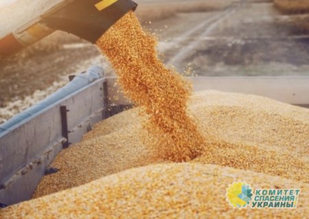 Пять стран-соседей Украины требуют продления запрета на импорт украинской агропродукции