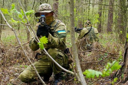 Армия и ФСБ предотвратили проникновение украинской ДРГ в Брянской области
