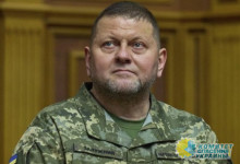 Залужного могут судить за сдачу Юга Украины