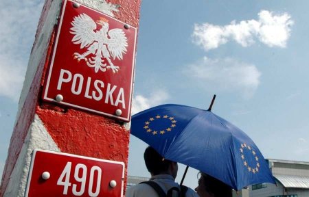 «Чтобы мышь не прошмыгнула»: Польша обещает достроить электронный барьер на границе с РФ к октябрю