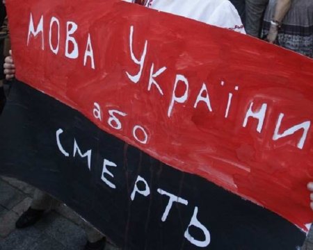 Тотальный запрет: в киевском вузе запретили использовать русскоязычные источники