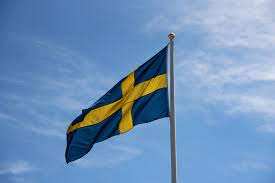 Шведов бегом гнали в НАТО, чтобы они не успели опомниться