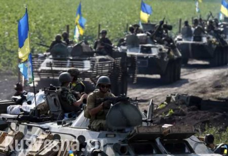Армия киевского режима в летнюю компанию 2015 года: численность, стратегия и тактика