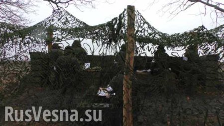 Киев усилил группировку на Донбассе боевиками «Правого сектора» и артиллерией — разведка ДНР 