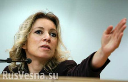 Мария Захарова обвинила власти Германии в травле российских СМИ